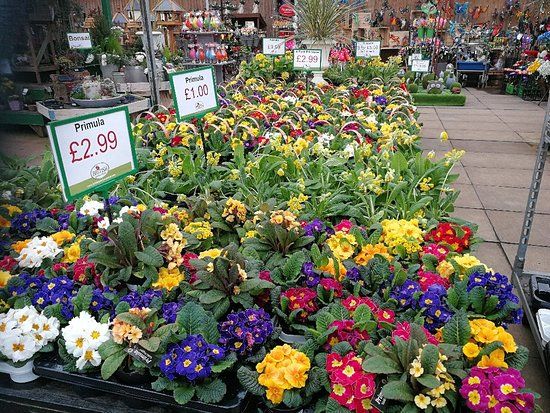 Brigg Garden Center