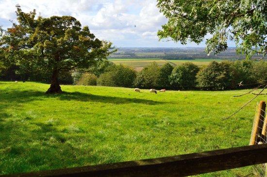 Lincolnshire Wolds