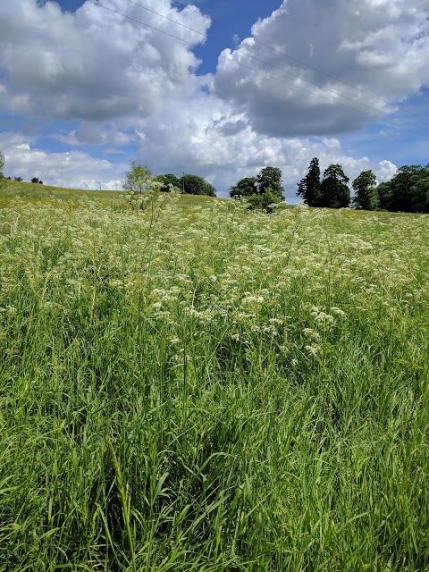Lincolnshire Wolds AONB
