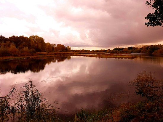 The Natural World Centre