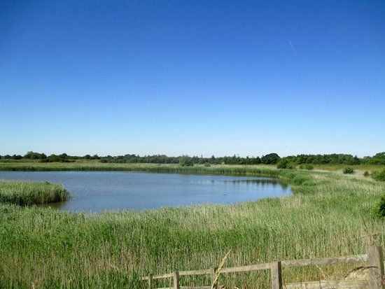Fiskerton Fen
