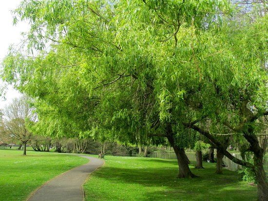 Boultham Park