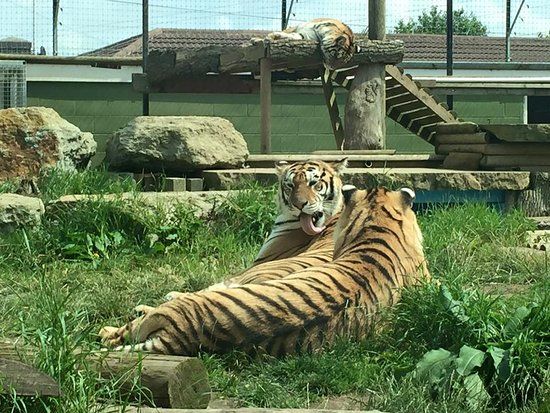 Lincolnshire Wildlife Park