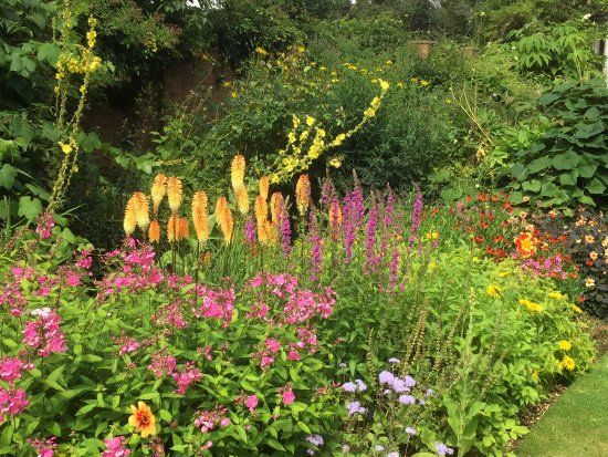 Hall Farm Garden