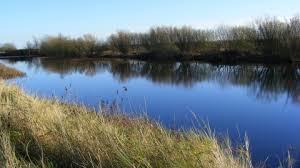 Moulton Marsh Nature Reserve