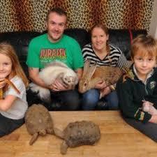 Ark Wildlife Park