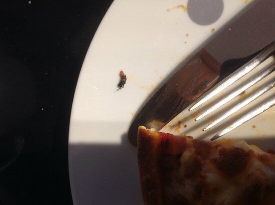 Sutton Pizza and Kebab House